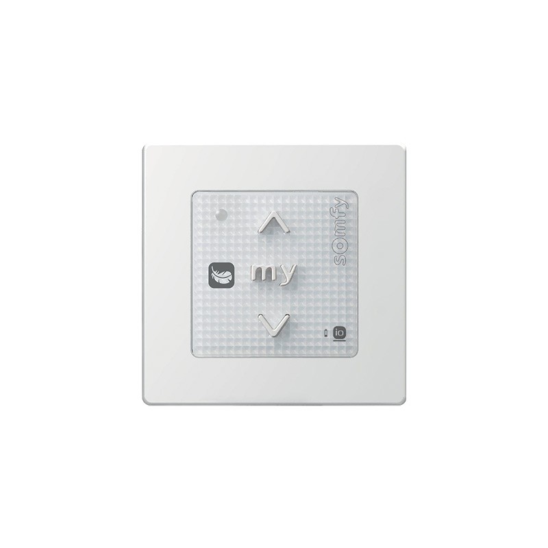Somfy Smoove Origin RS100 IO